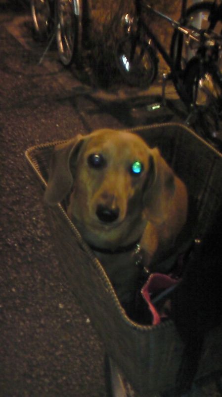 メリークリスマス♪